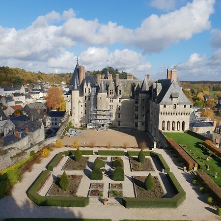 Domaine De Bourgville Monts-sur-Guesnes Exteriér fotografie