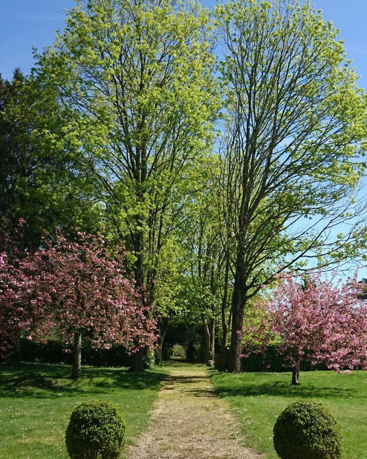 Domaine De Bourgville Monts-sur-Guesnes Exteriér fotografie
