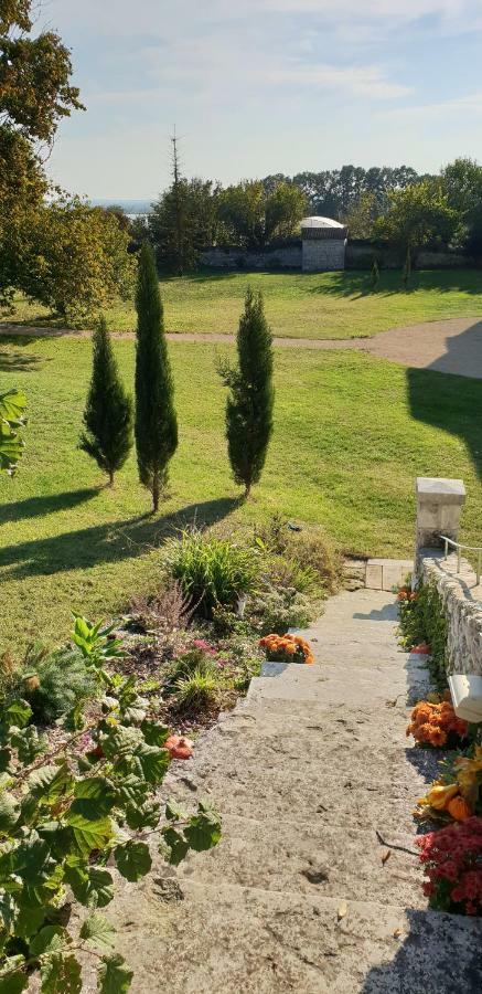 Domaine De Bourgville Monts-sur-Guesnes Exteriér fotografie
