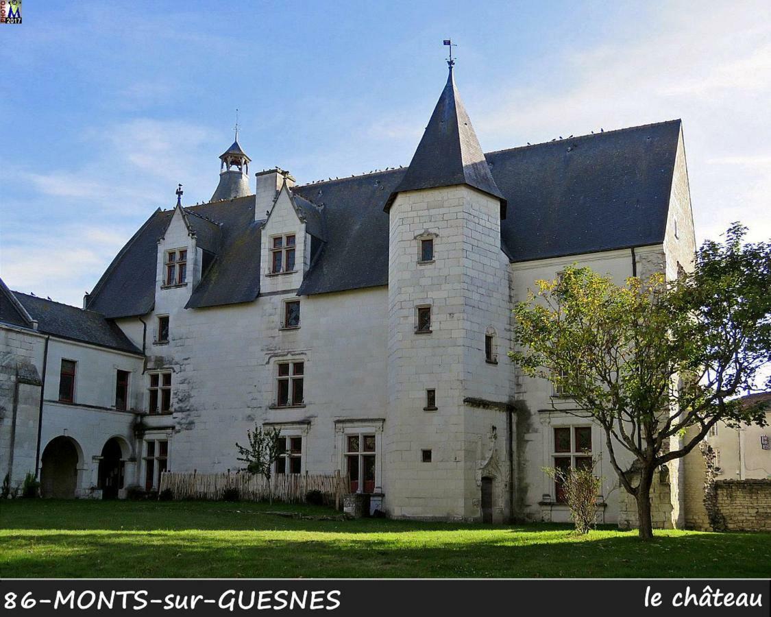 Domaine De Bourgville Monts-sur-Guesnes Exteriér fotografie